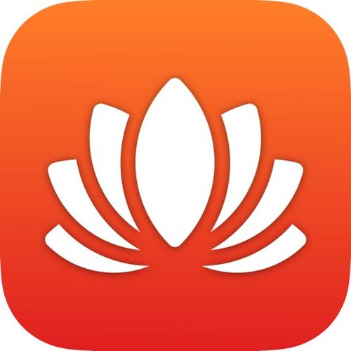 开普勒斯水果沙拉饥饿值是多少