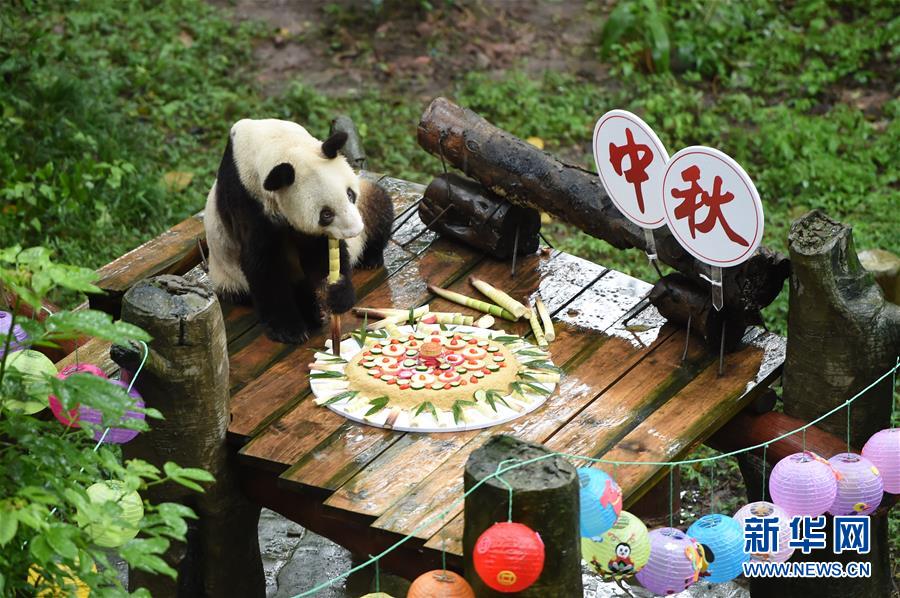 征服的荣耀围城鱼竿等级会影响什么