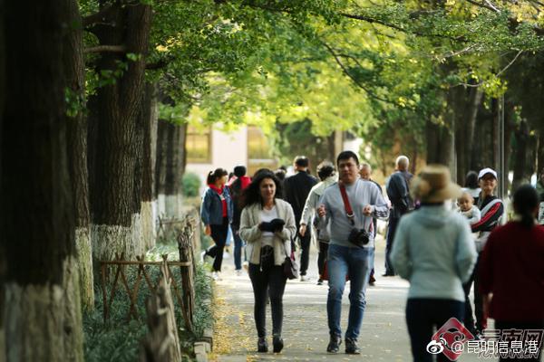 三国群英传8什么时候发售