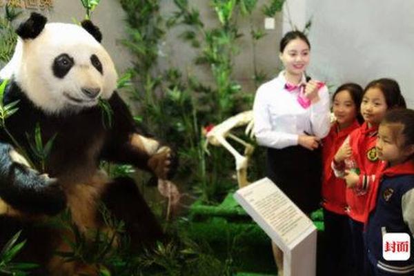 骑士精神2黑暗森林弓弩流有什么优势